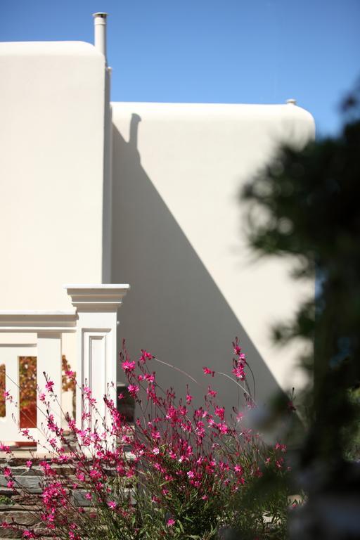 Villa Aithra -Agios Petros Andros Gavrio Exterior foto